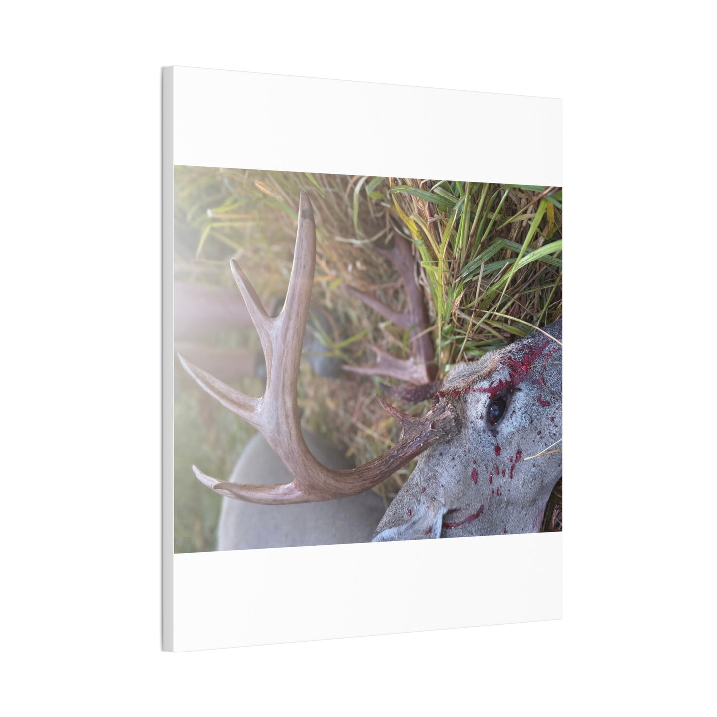 Wisconsin Adrenaline Junkies - Canvas Stretched, 0.75" - Gone