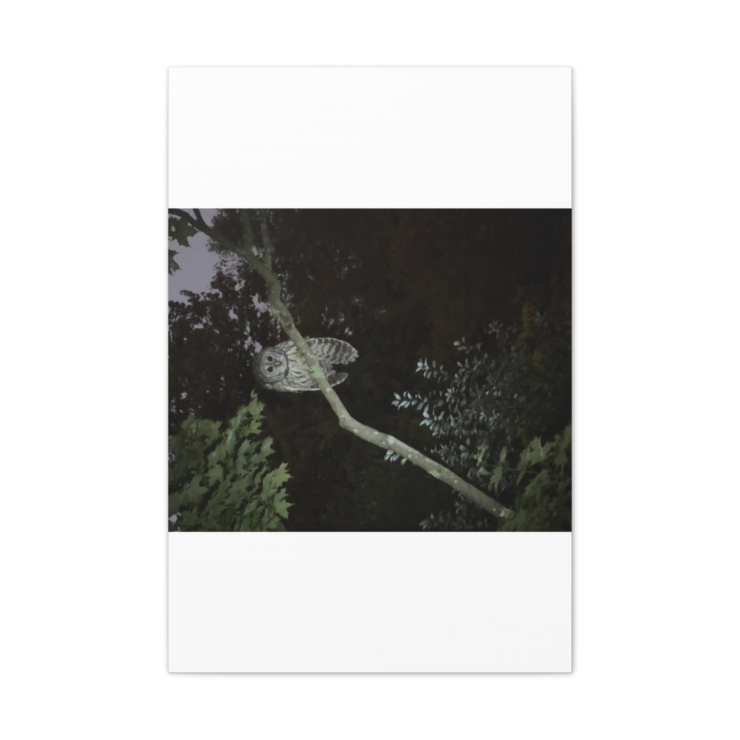 Wisconsin Adrenaline Junkies - Canvas Stretched, 0.75" - Watcher