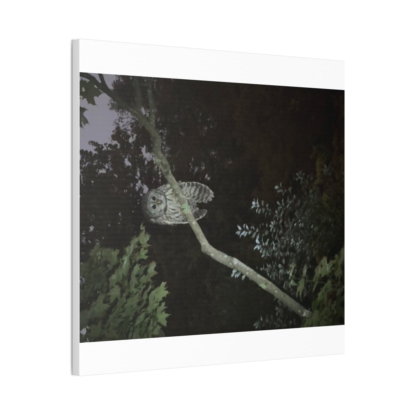 Wisconsin Adrenaline Junkies - Canvas Stretched, 0.75" - Watcher