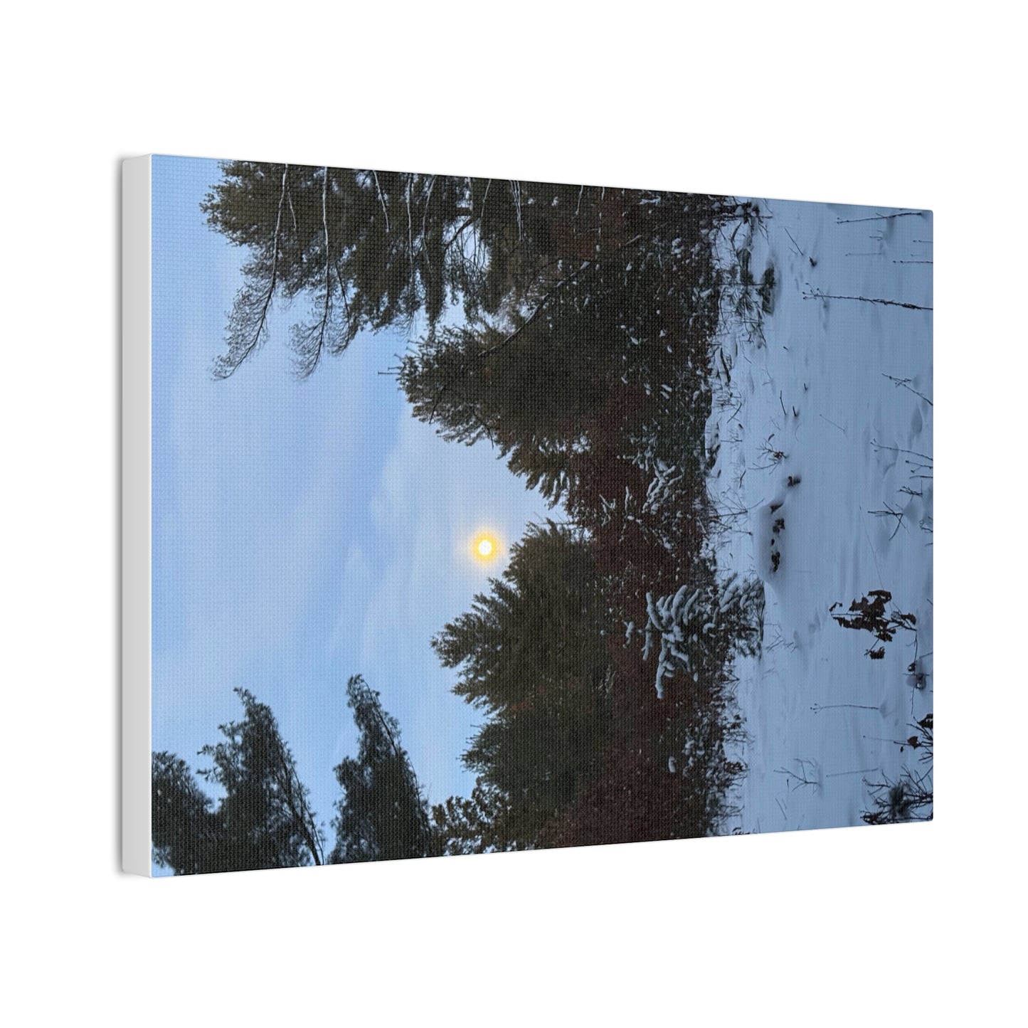 Wisconsin Adrenaline Junkies - Canvas Stretched, 0.75" - Snow