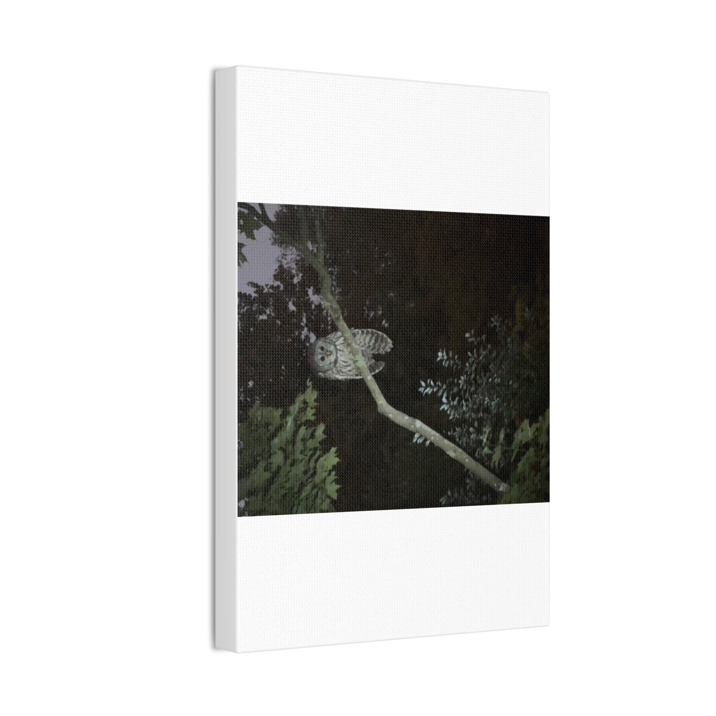 Wisconsin Adrenaline Junkies - Canvas Stretched, 0.75" - Watcher