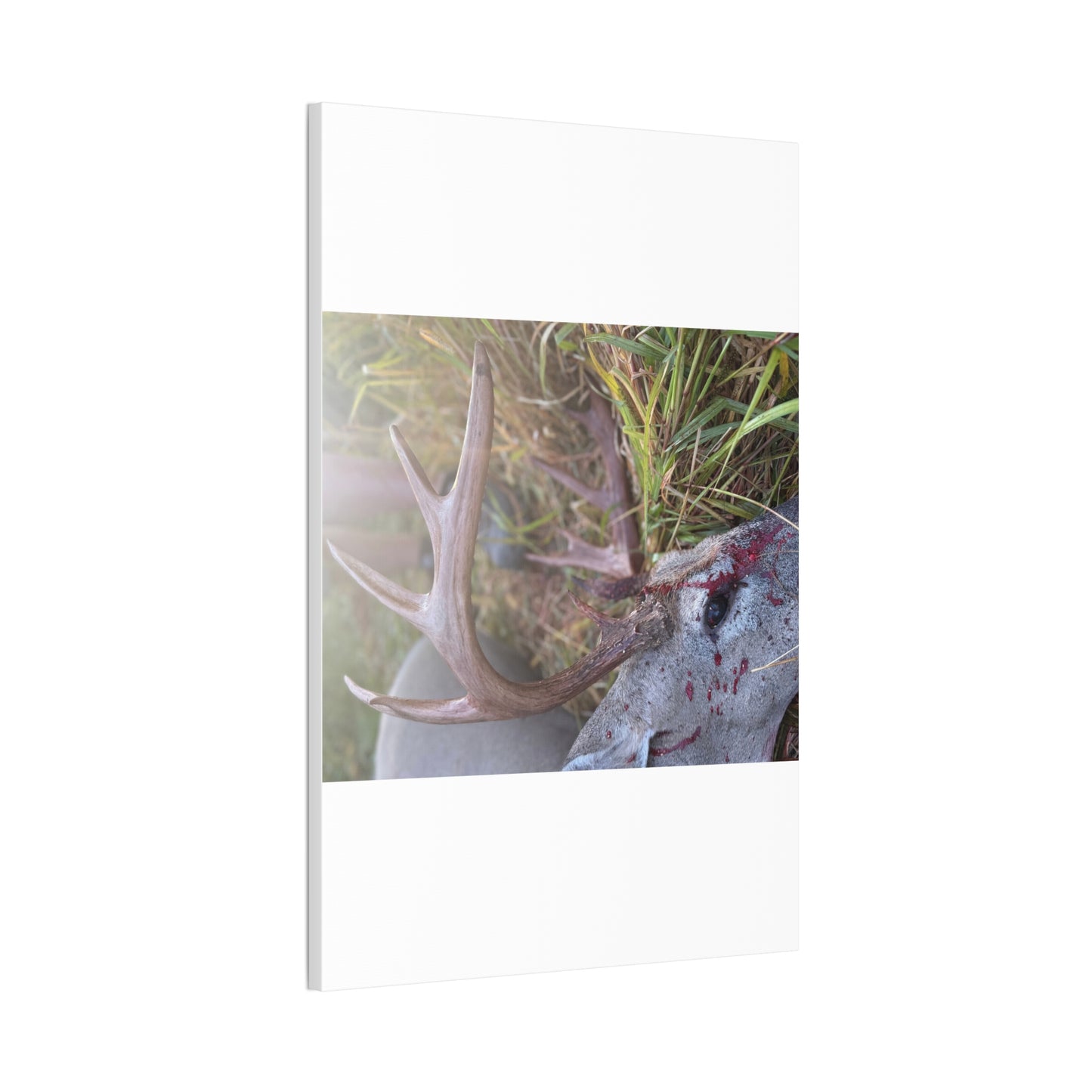Wisconsin Adrenaline Junkies - Canvas Stretched, 0.75" - Gone