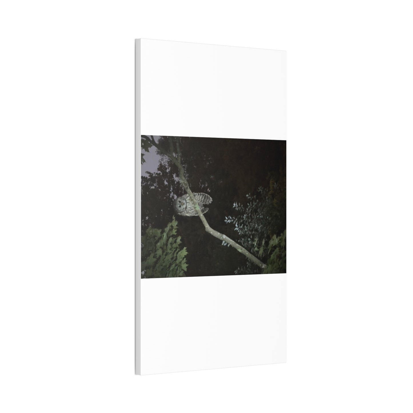Wisconsin Adrenaline Junkies - Canvas Stretched, 0.75" - Watcher