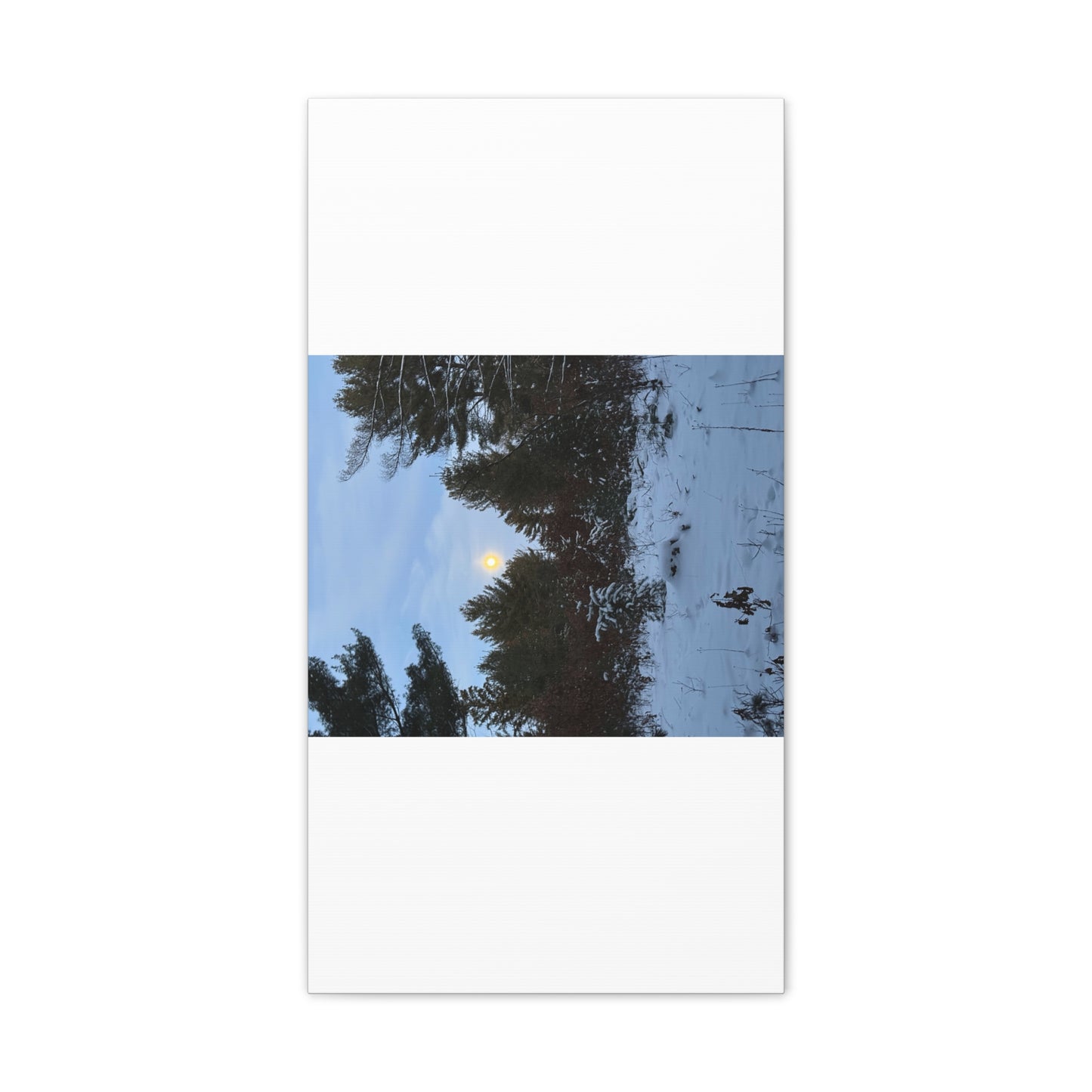 Wisconsin Adrenaline Junkies - Canvas Stretched, 0.75" - Snow