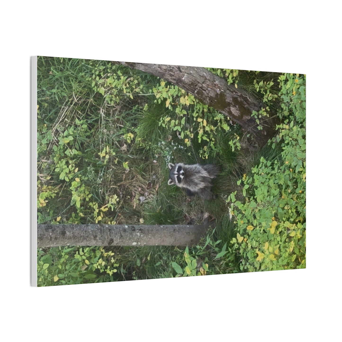 Wisconsin Adrenaline Junkies - Canvas Stretched, 0.75" - Friend