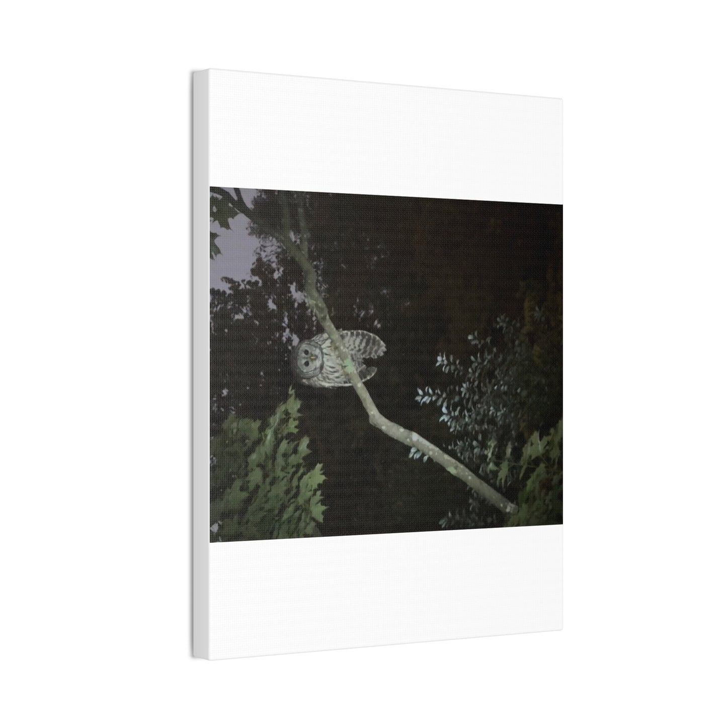 Wisconsin Adrenaline Junkies - Canvas Stretched, 0.75" - Watcher