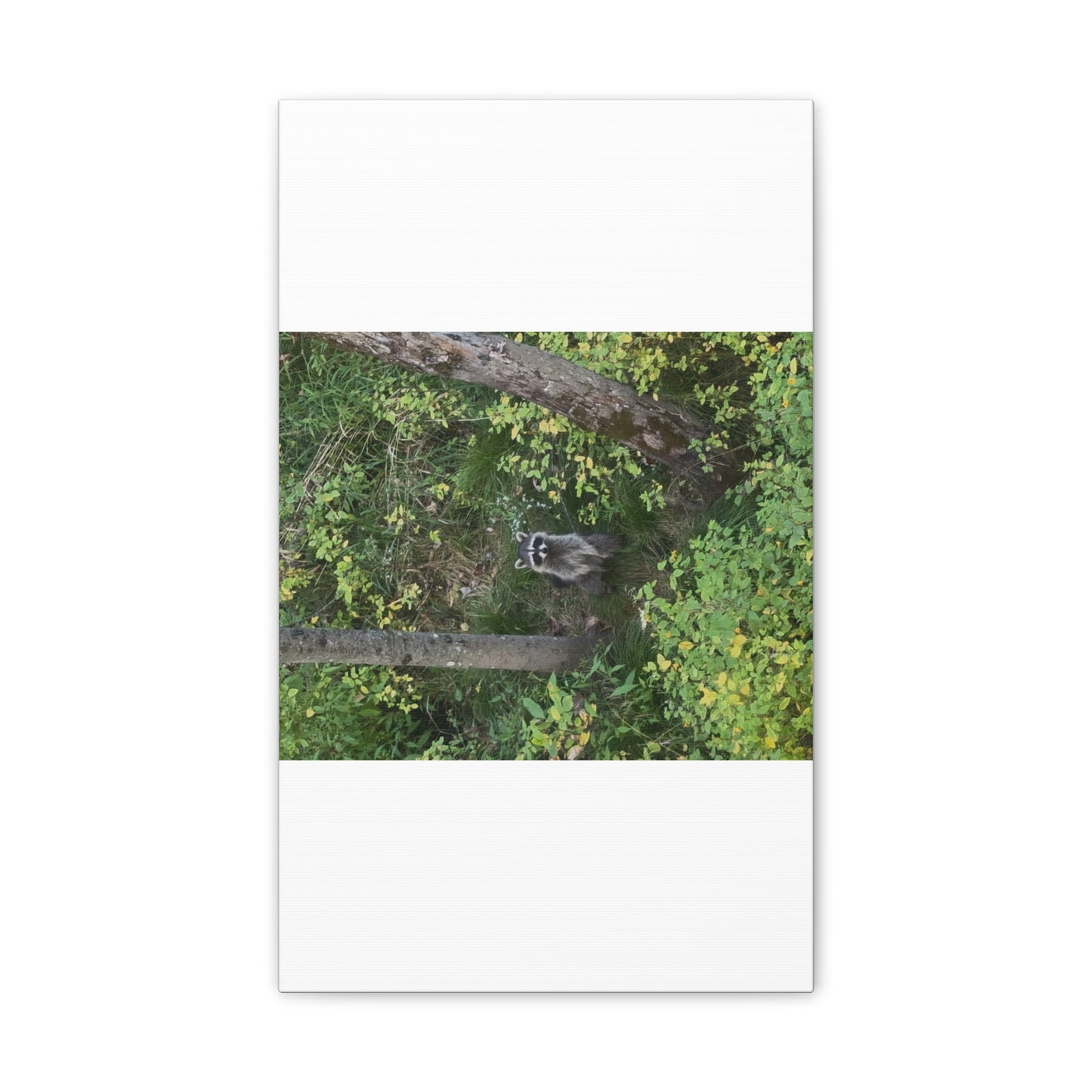 Wisconsin Adrenaline Junkies - Canvas Stretched, 0.75" - Friend