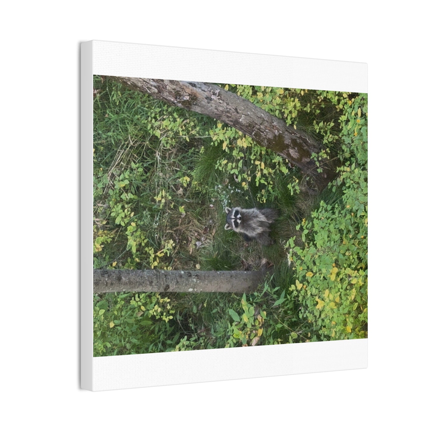Wisconsin Adrenaline Junkies - Canvas Stretched, 0.75" - Friend