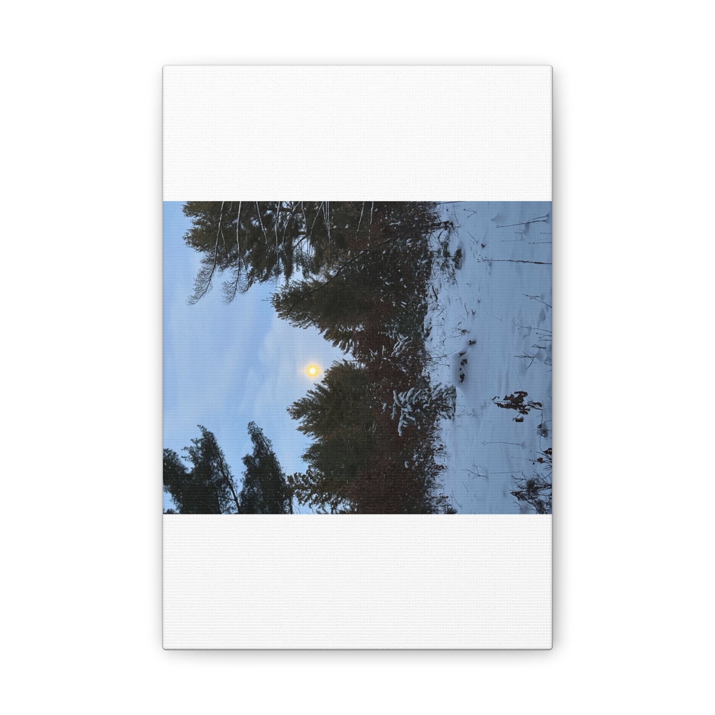 Wisconsin Adrenaline Junkies - Canvas Stretched, 0.75" - Snow