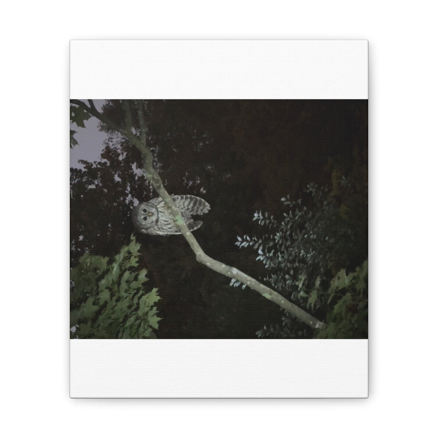 Wisconsin Adrenaline Junkies - Canvas Stretched, 0.75" - Watcher