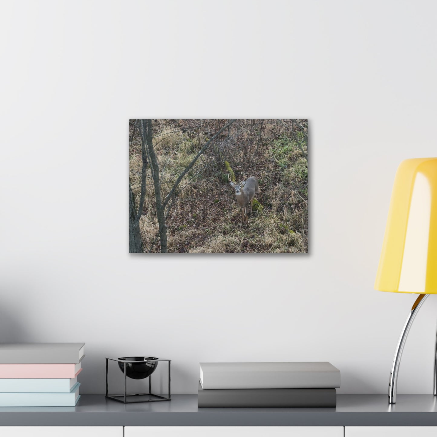 Wisconsin Adrenaline Junkies - Canvas Stretched, 0.75" - Deer