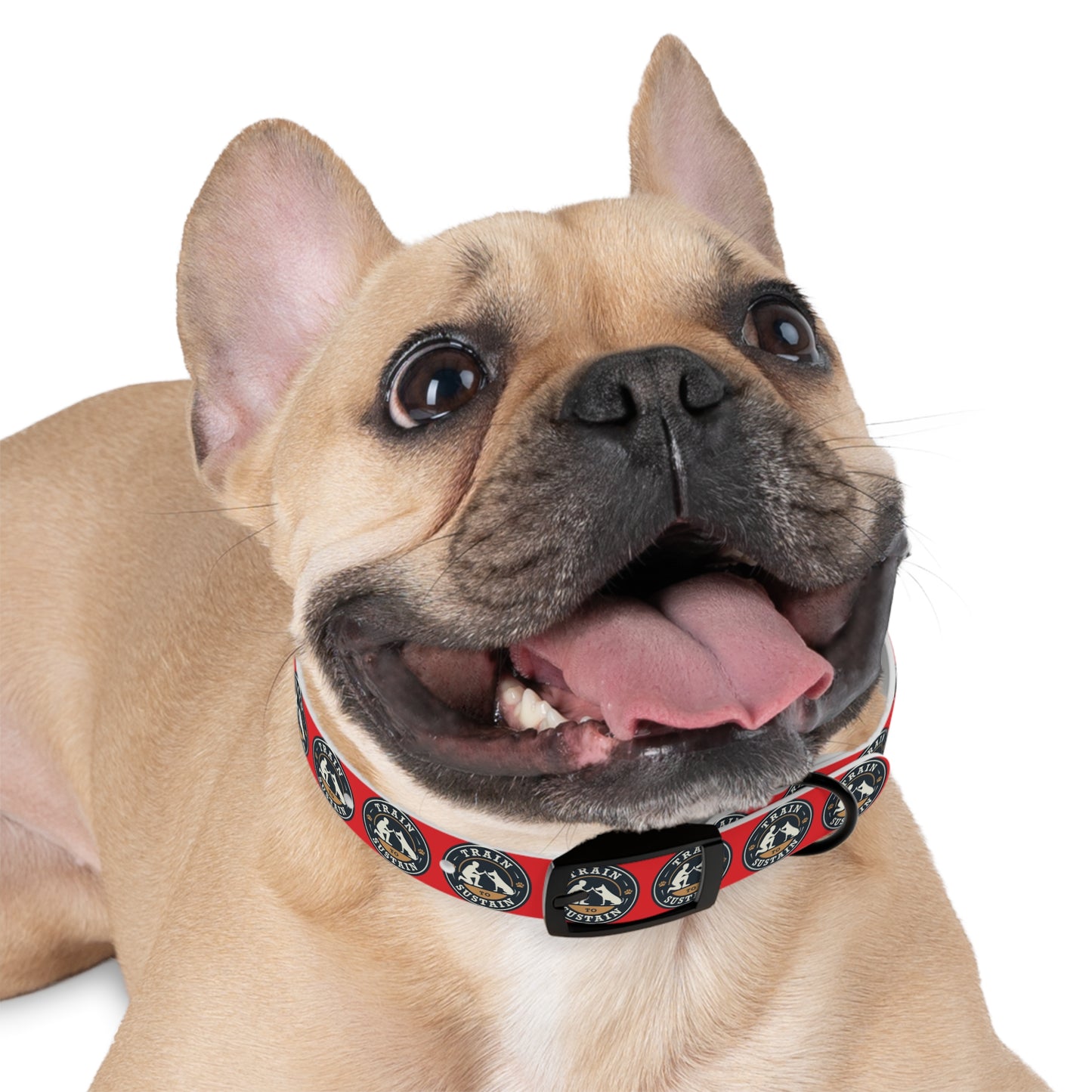 Train to Sustain Design - Dog Collar (Red)