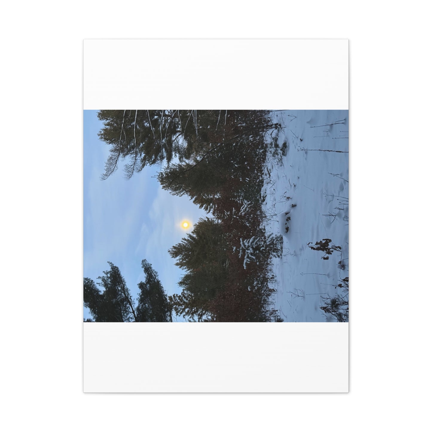 Wisconsin Adrenaline Junkies - Canvas Stretched, 0.75" - Snow