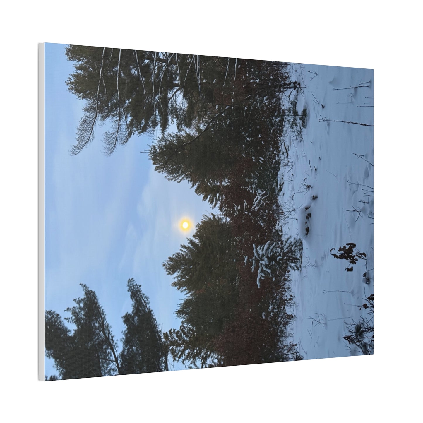 Wisconsin Adrenaline Junkies - Canvas Stretched, 0.75" - Snow
