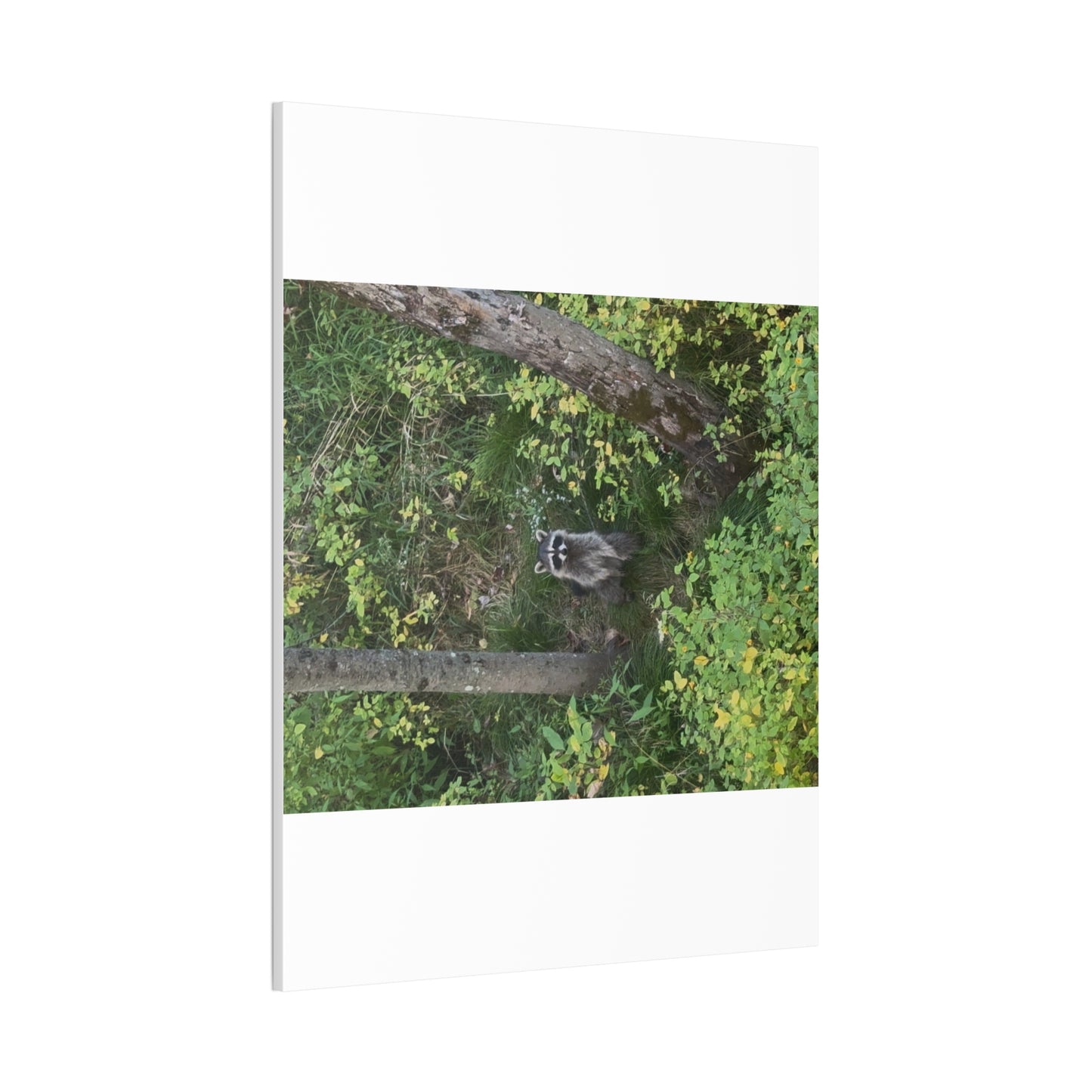 Wisconsin Adrenaline Junkies - Canvas Stretched, 0.75" - Friend