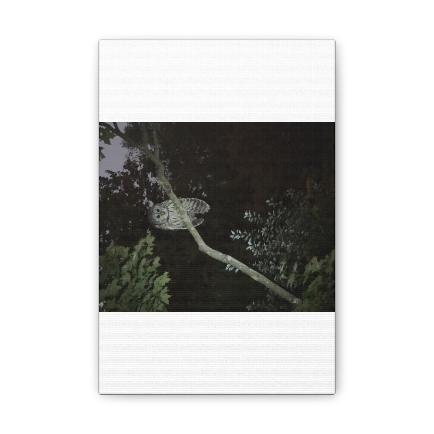 Wisconsin Adrenaline Junkies - Canvas Stretched, 0.75" - Watcher