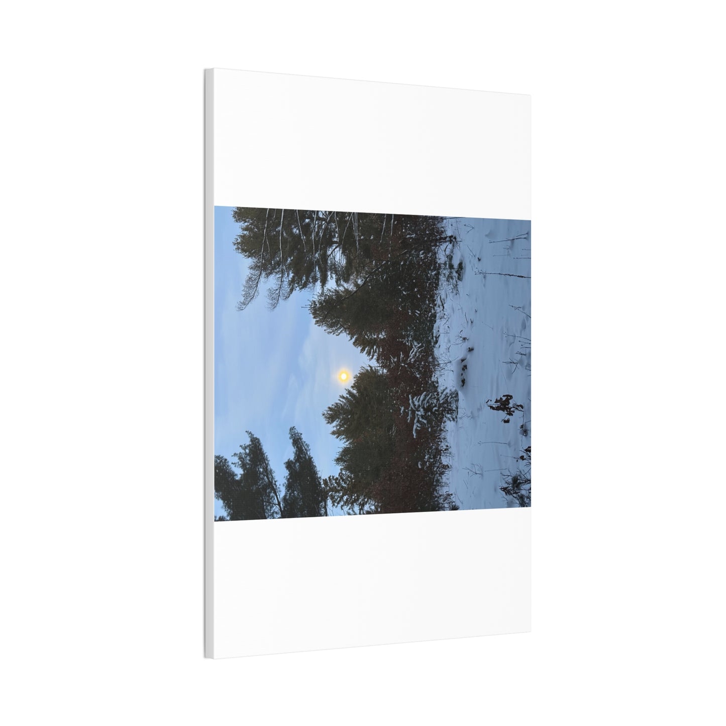 Wisconsin Adrenaline Junkies - Canvas Stretched, 0.75" - Snow