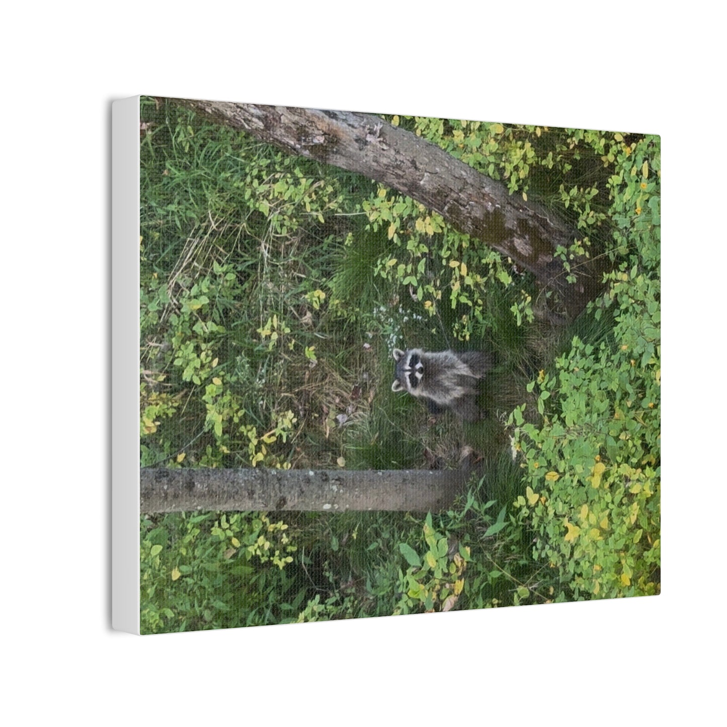 Wisconsin Adrenaline Junkies - Canvas Stretched, 0.75" - Friend