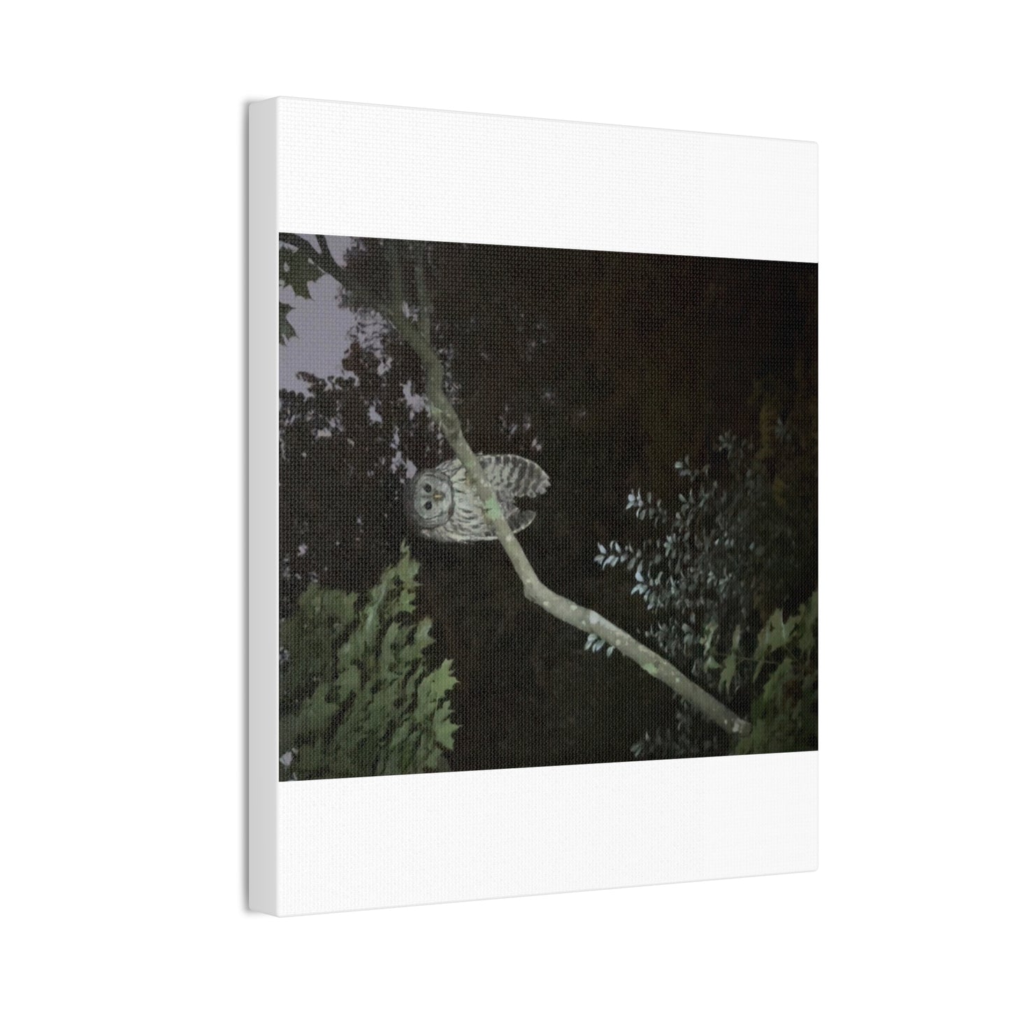 Wisconsin Adrenaline Junkies - Canvas Stretched, 0.75" - Watcher