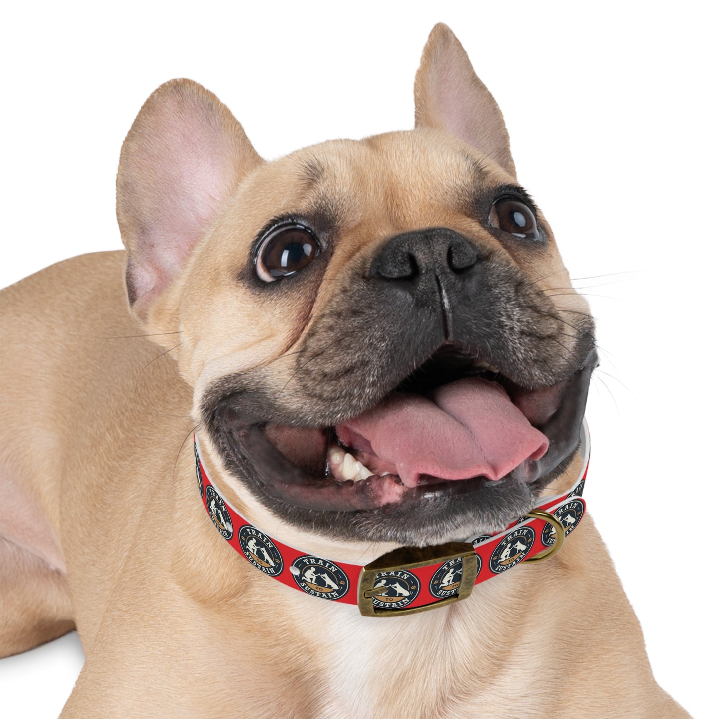 Train to Sustain Design - Dog Collar (Red)