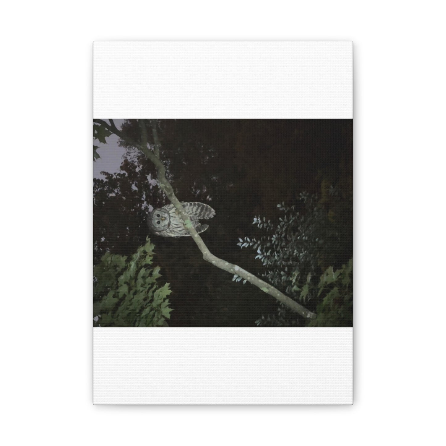 Wisconsin Adrenaline Junkies - Canvas Stretched, 0.75" - Watcher