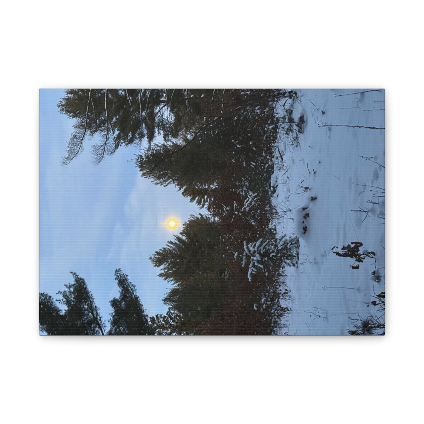 Wisconsin Adrenaline Junkies - Canvas Stretched, 0.75" - Snow