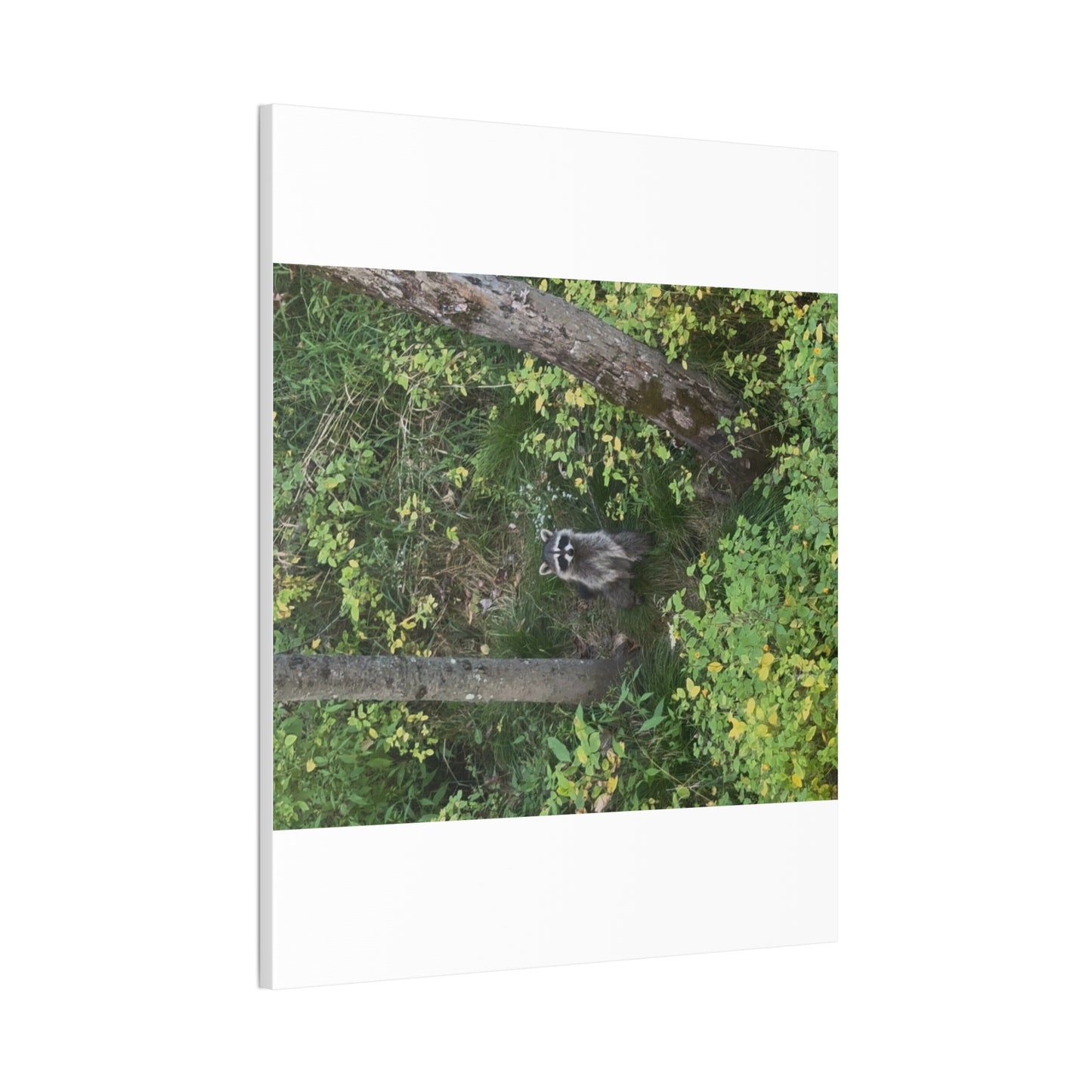 Wisconsin Adrenaline Junkies - Canvas Stretched, 0.75" - Friend