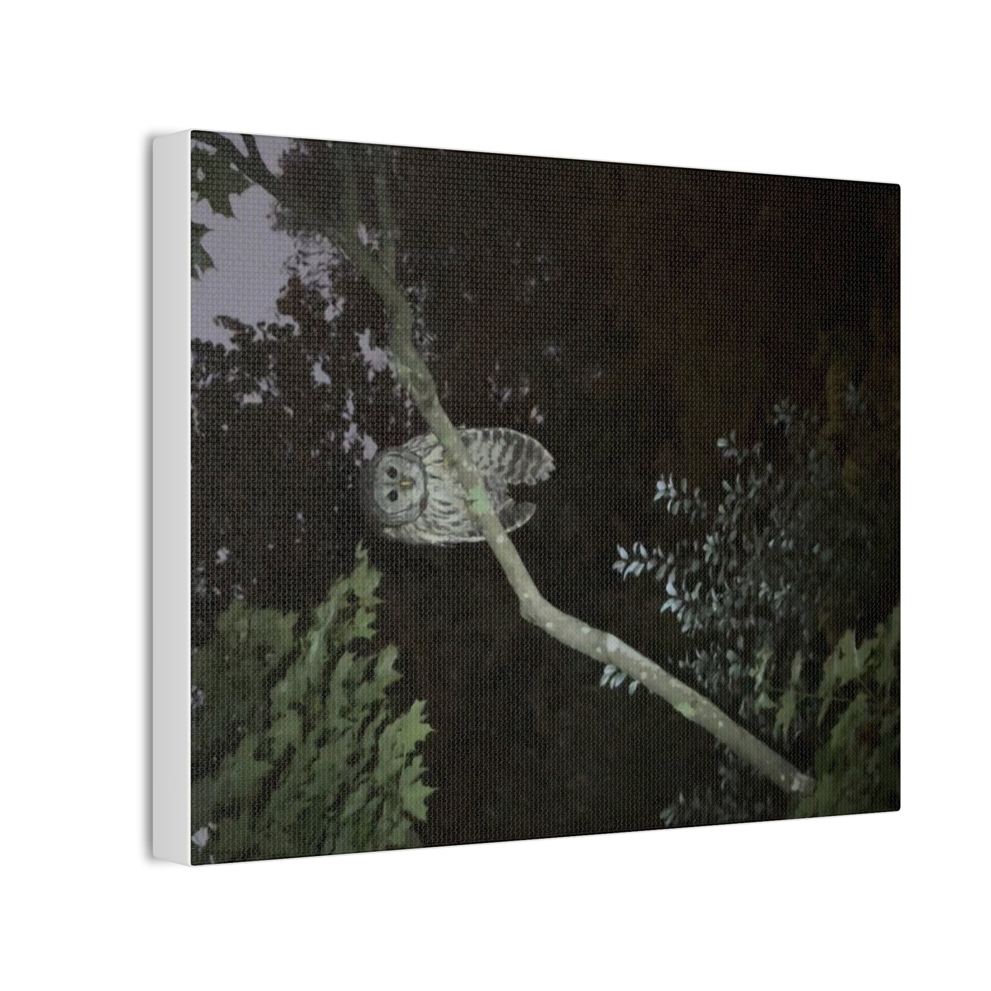 Wisconsin Adrenaline Junkies - Canvas Stretched, 0.75" - Watcher