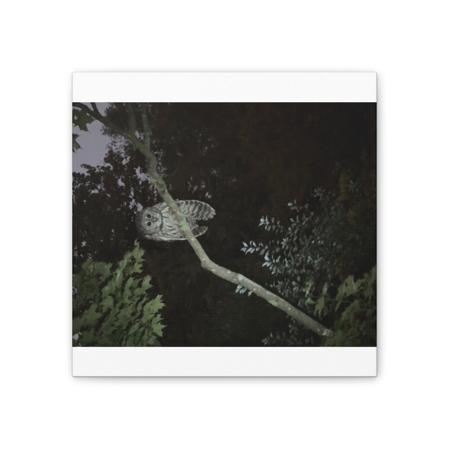 Wisconsin Adrenaline Junkies - Canvas Stretched, 0.75" - Watcher