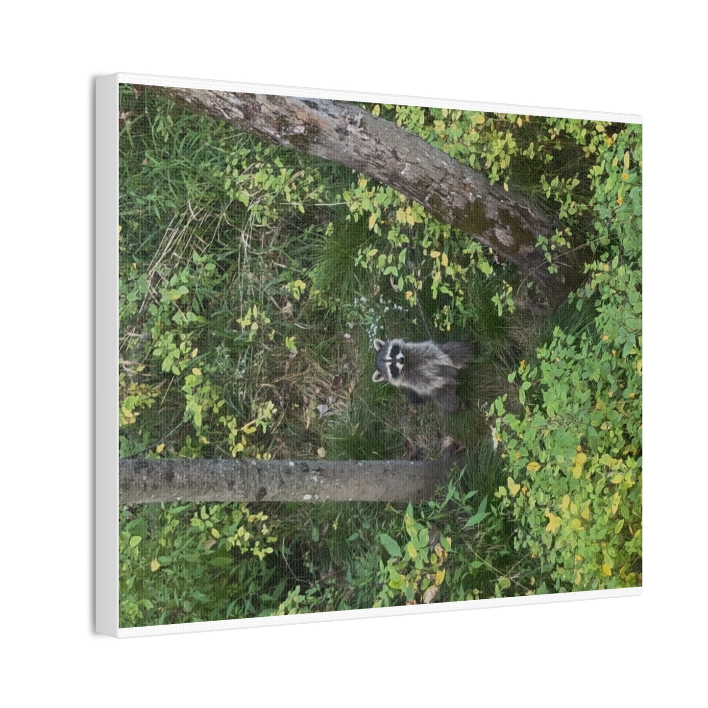 Wisconsin Adrenaline Junkies - Canvas Stretched, 0.75" - Friend