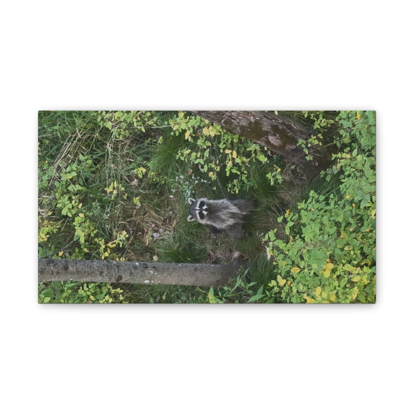 Wisconsin Adrenaline Junkies - Canvas Stretched, 0.75" - Friend