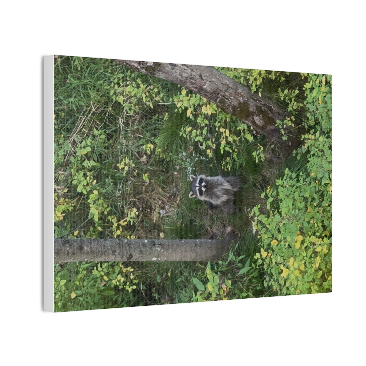 Wisconsin Adrenaline Junkies - Canvas Stretched, 0.75" - Friend