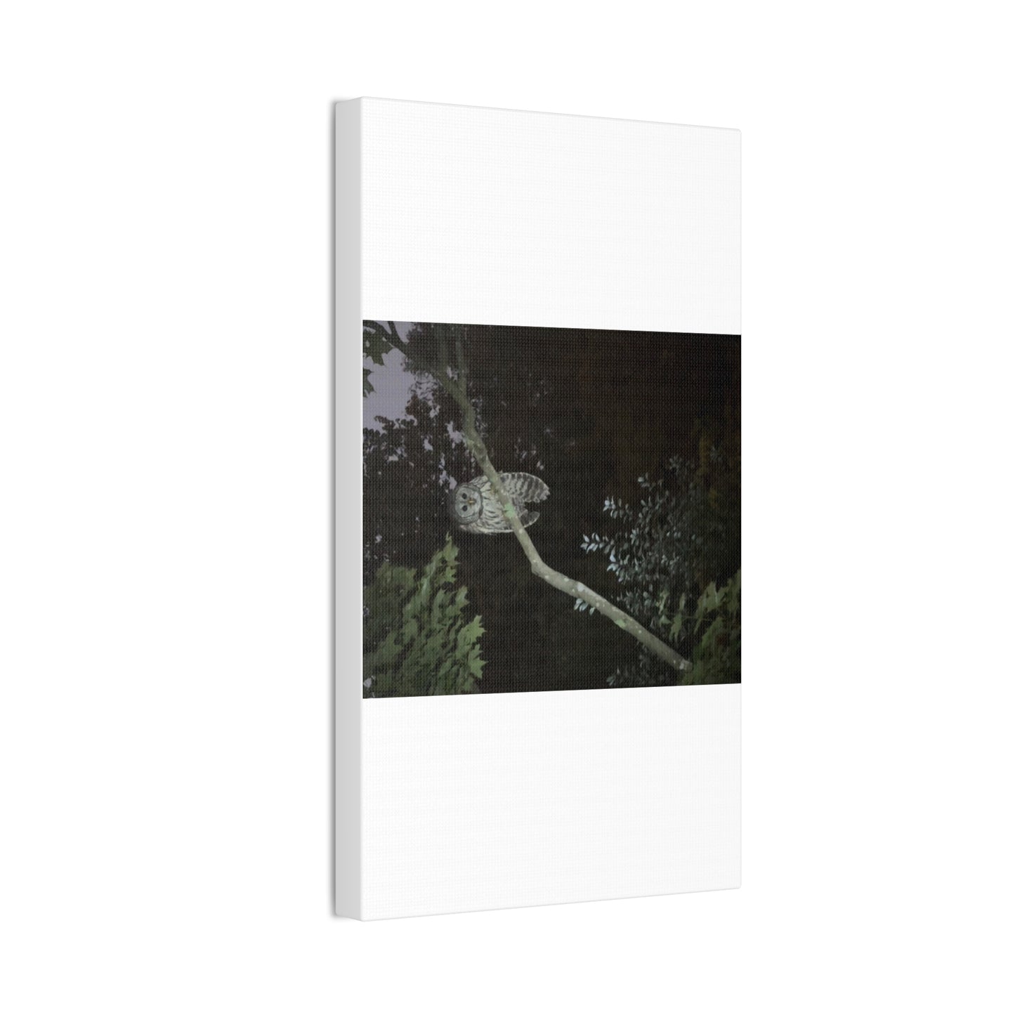 Wisconsin Adrenaline Junkies - Canvas Stretched, 0.75" - Watcher