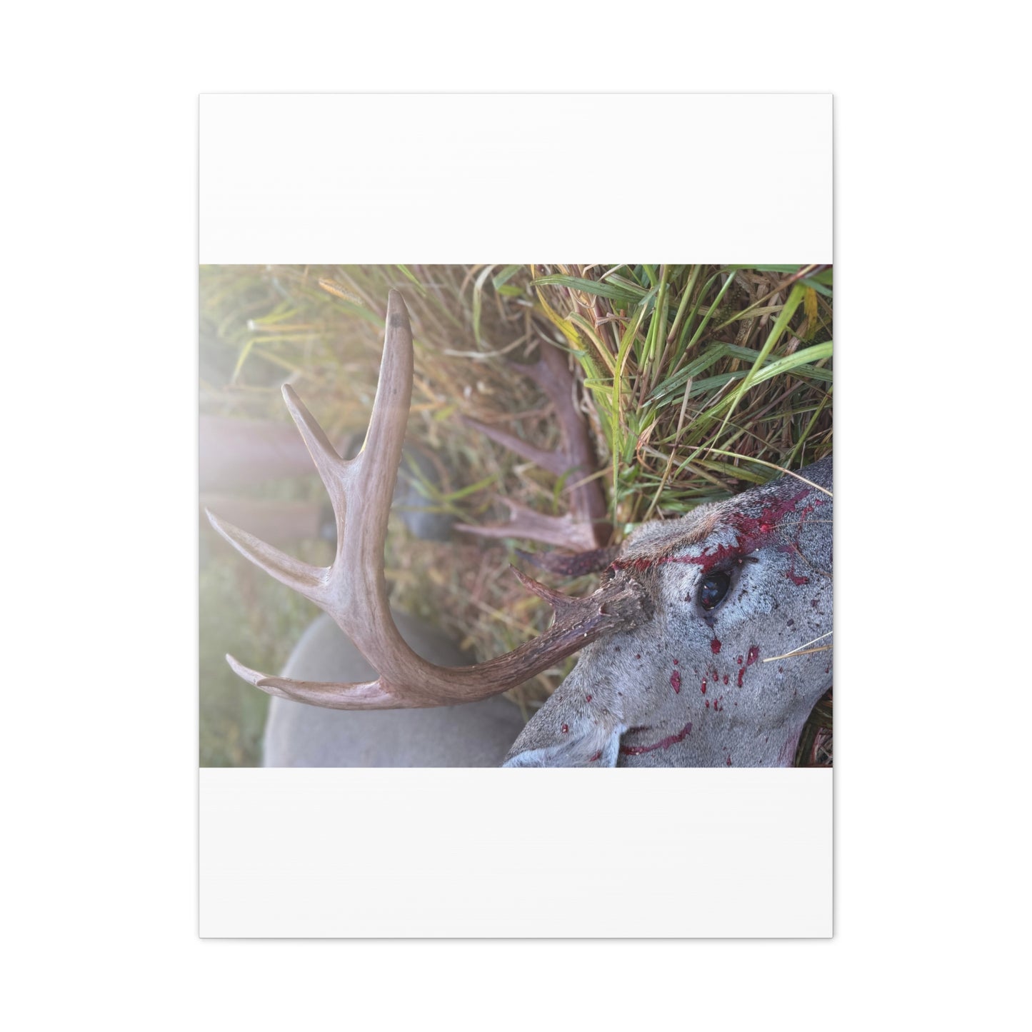 Wisconsin Adrenaline Junkies - Canvas Stretched, 0.75" - Gone