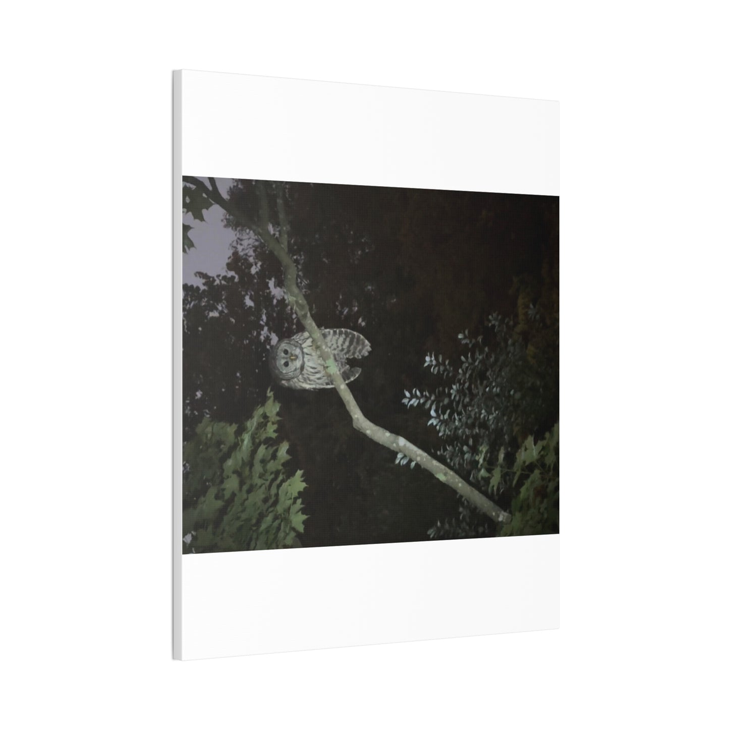 Wisconsin Adrenaline Junkies - Canvas Stretched, 0.75" - Watcher