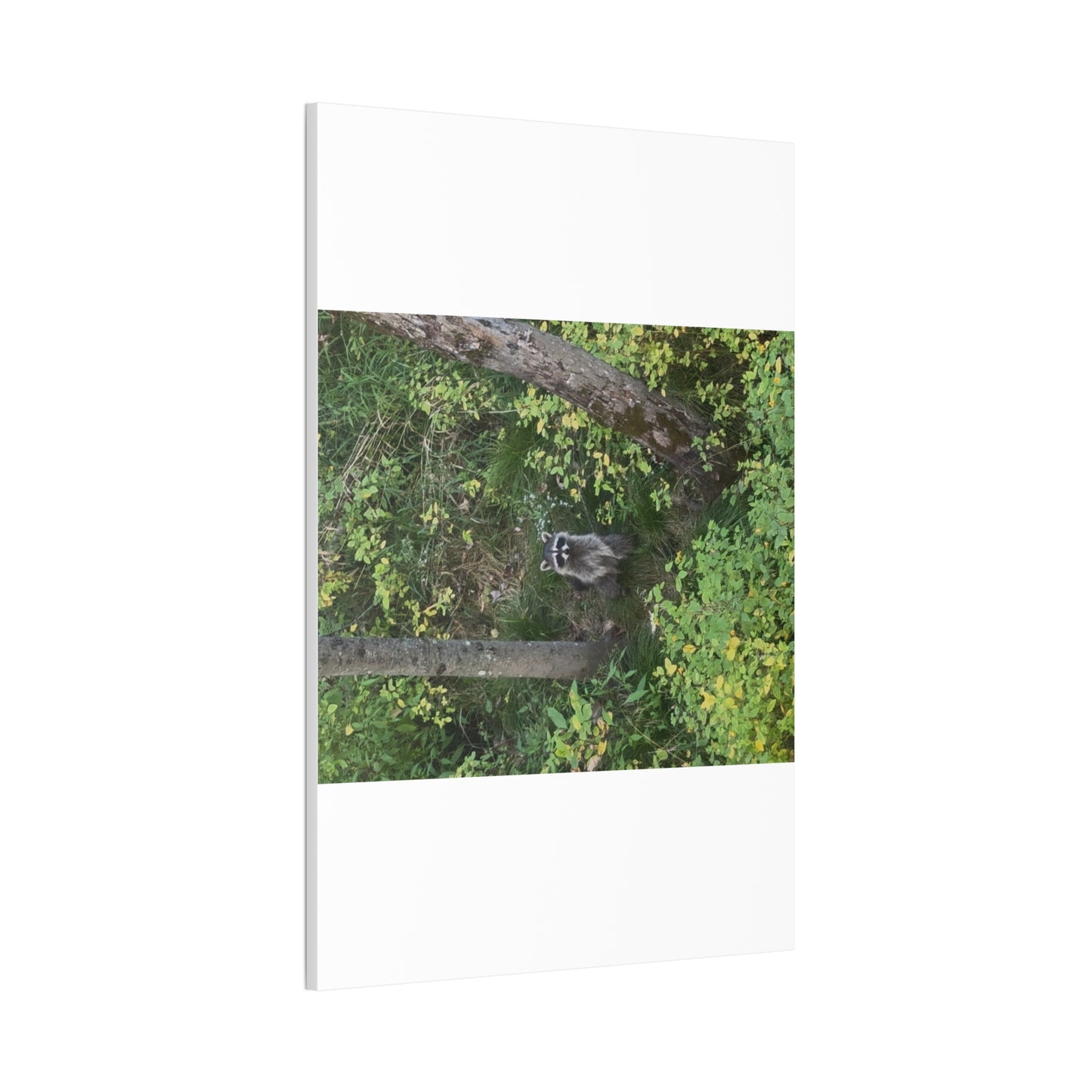 Wisconsin Adrenaline Junkies - Canvas Stretched, 0.75" - Friend