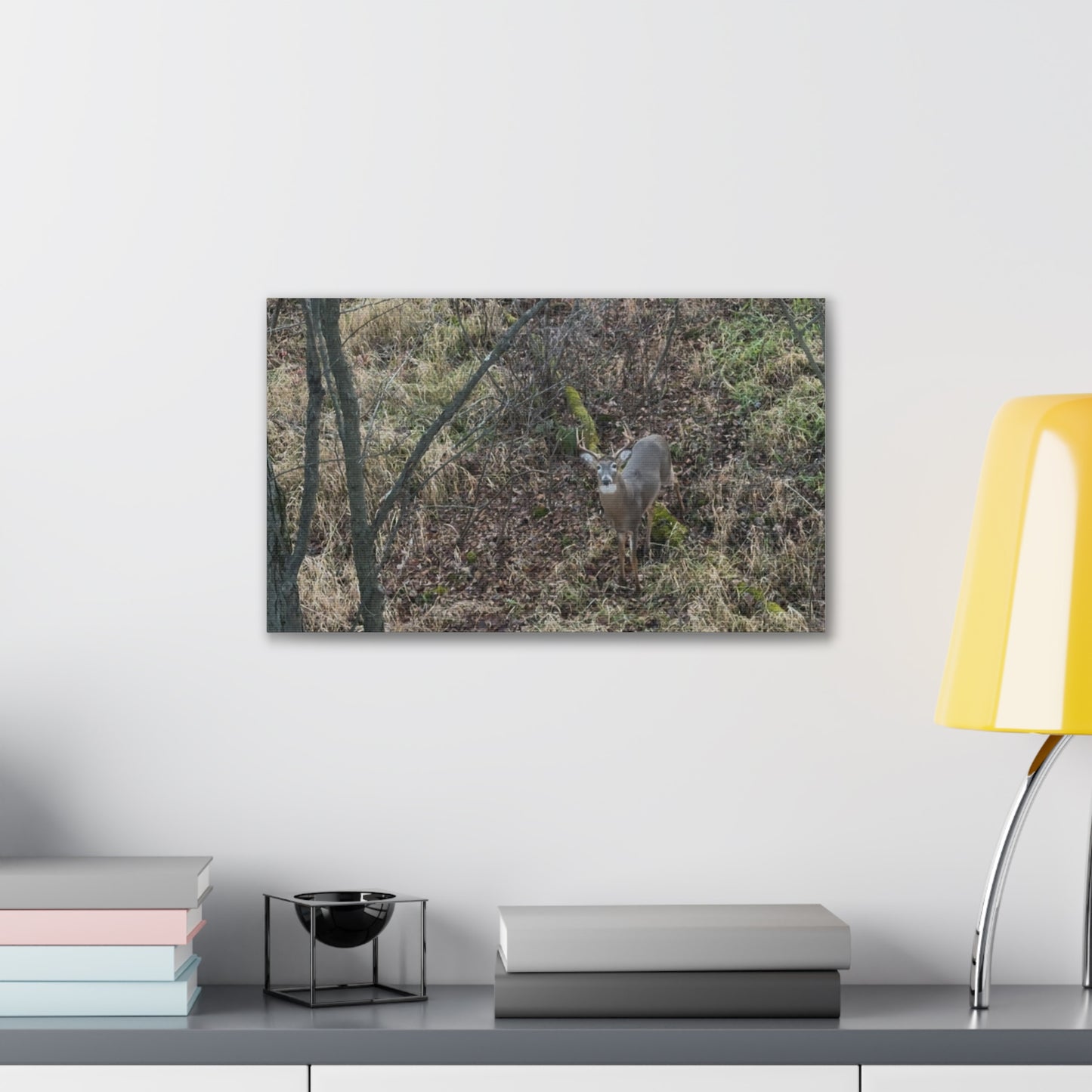 Wisconsin Adrenaline Junkies - Canvas Stretched, 0.75" - Deer