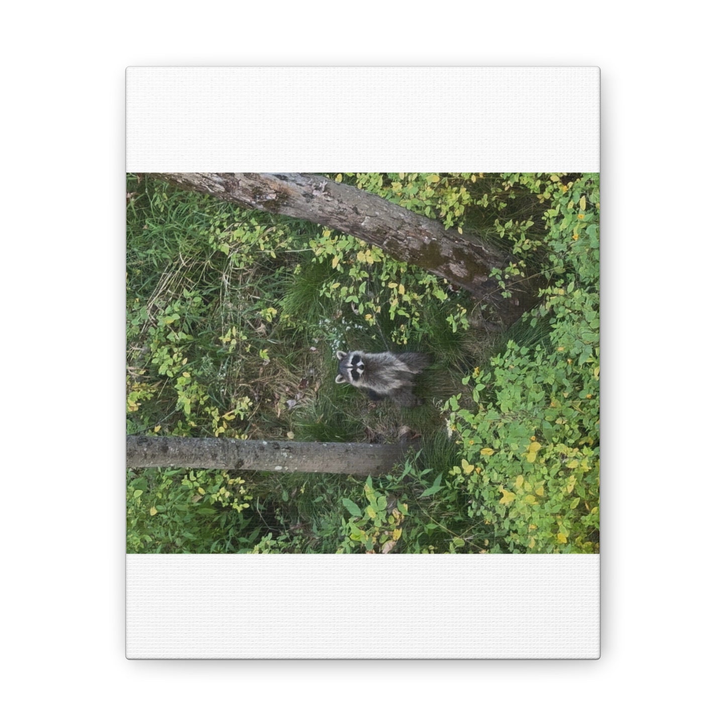 Wisconsin Adrenaline Junkies - Canvas Stretched, 0.75" - Friend