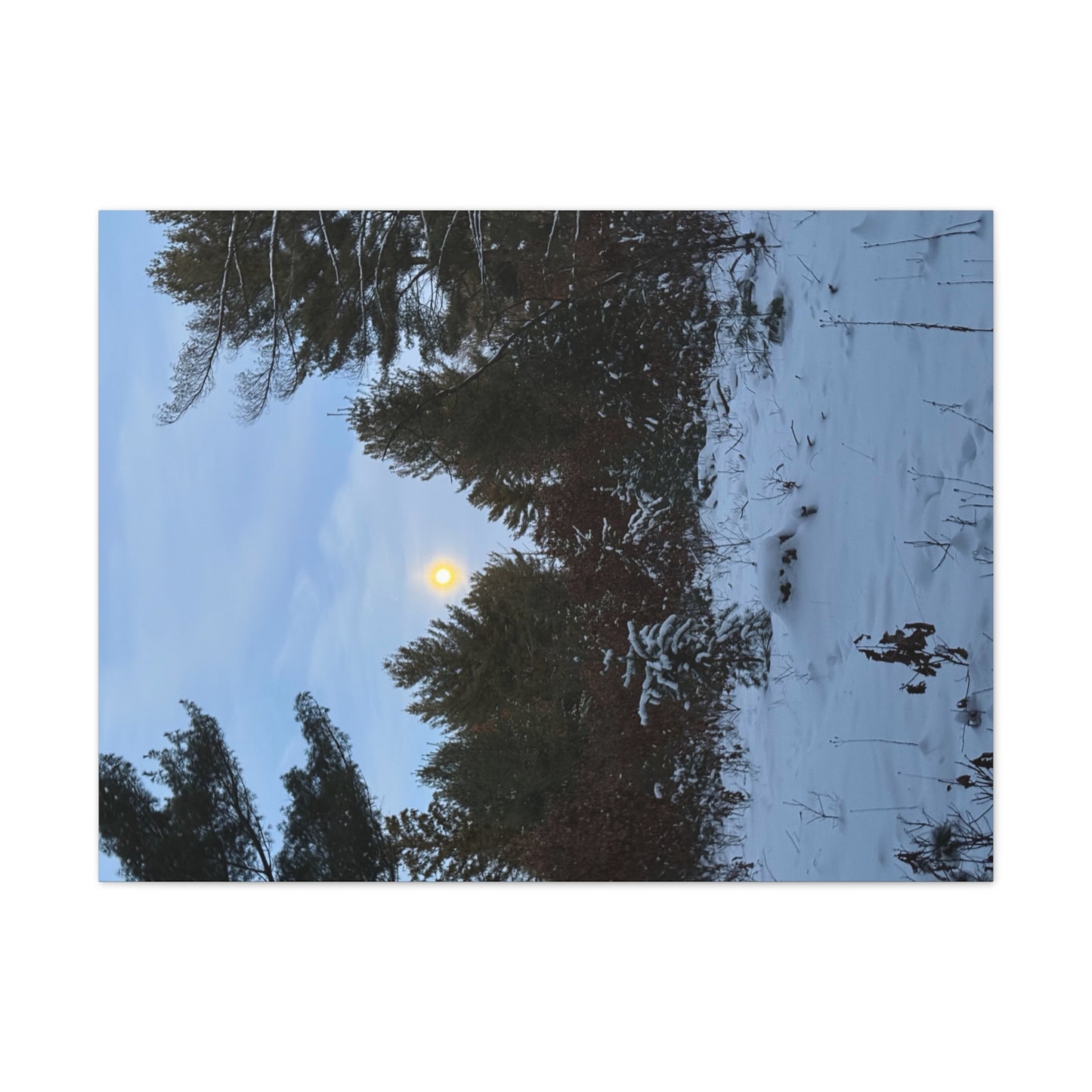 Wisconsin Adrenaline Junkies - Canvas Stretched, 0.75" - Snow
