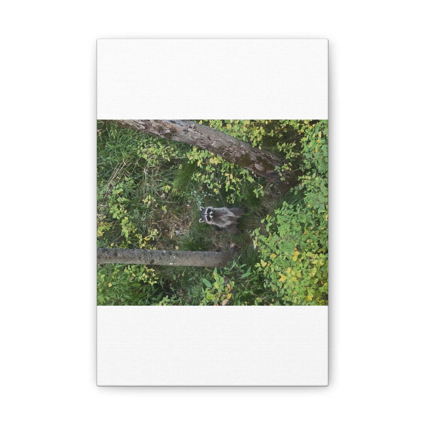 Wisconsin Adrenaline Junkies - Canvas Stretched, 0.75" - Friend