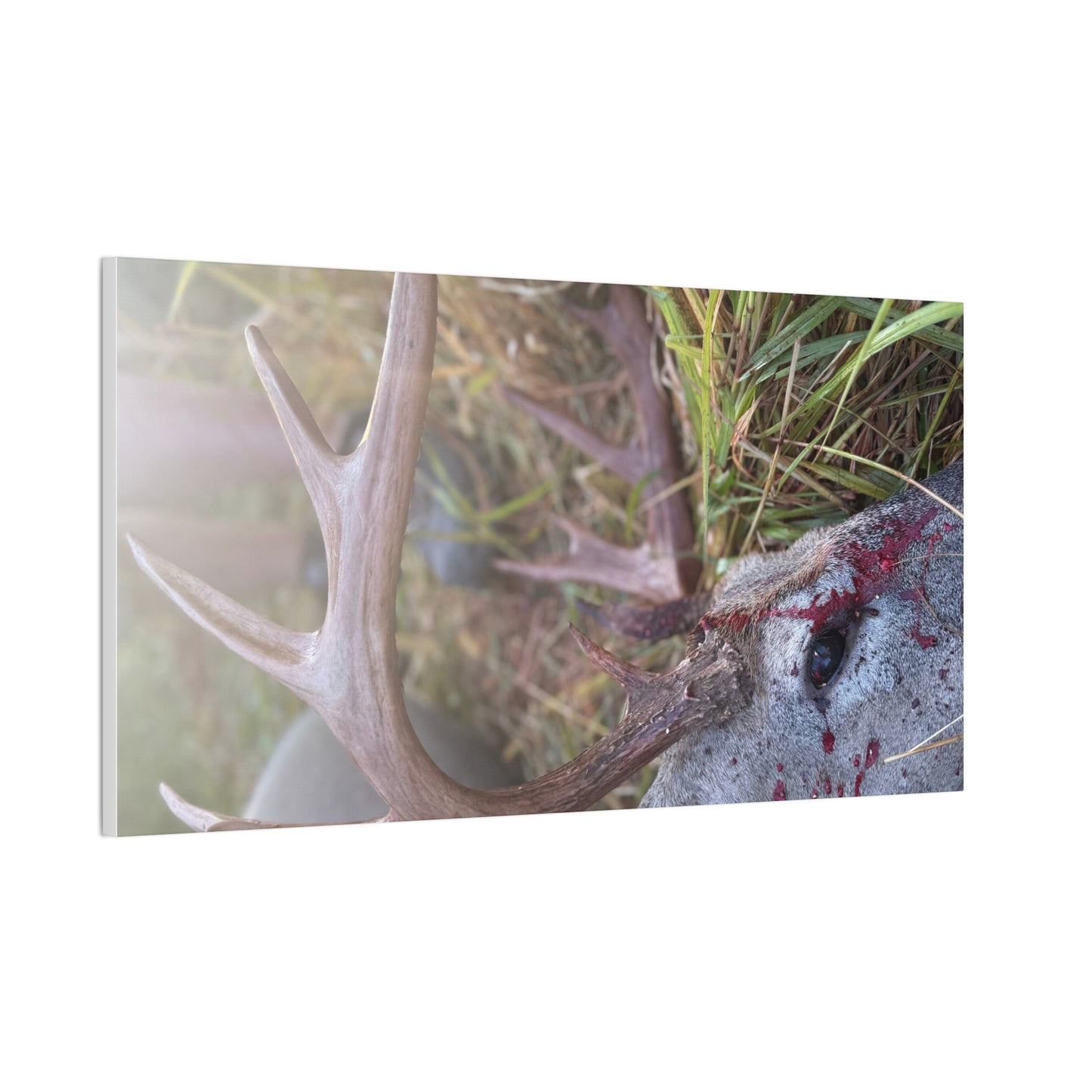 Wisconsin Adrenaline Junkies - Canvas Stretched, 0.75" - Gone