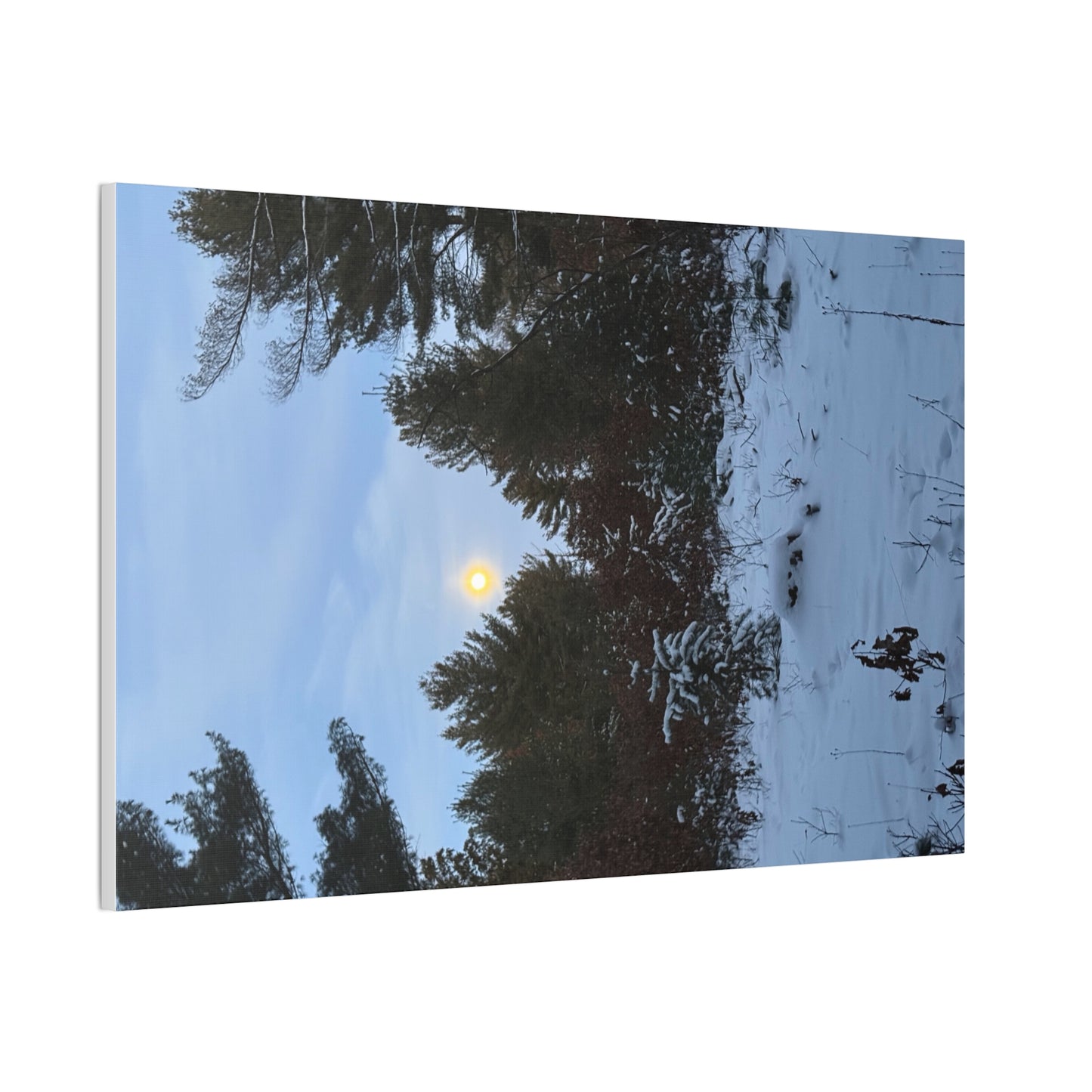 Wisconsin Adrenaline Junkies - Canvas Stretched, 0.75" - Snow