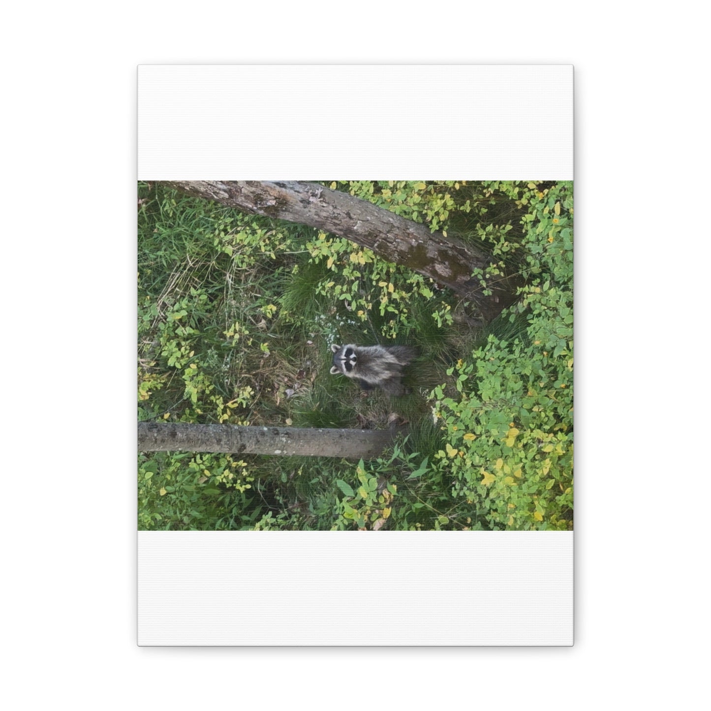 Wisconsin Adrenaline Junkies - Canvas Stretched, 0.75" - Friend