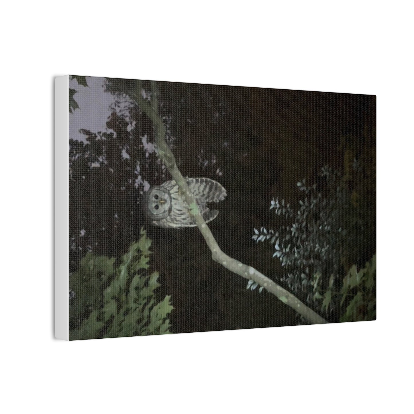 Wisconsin Adrenaline Junkies - Canvas Stretched, 0.75" - Watcher