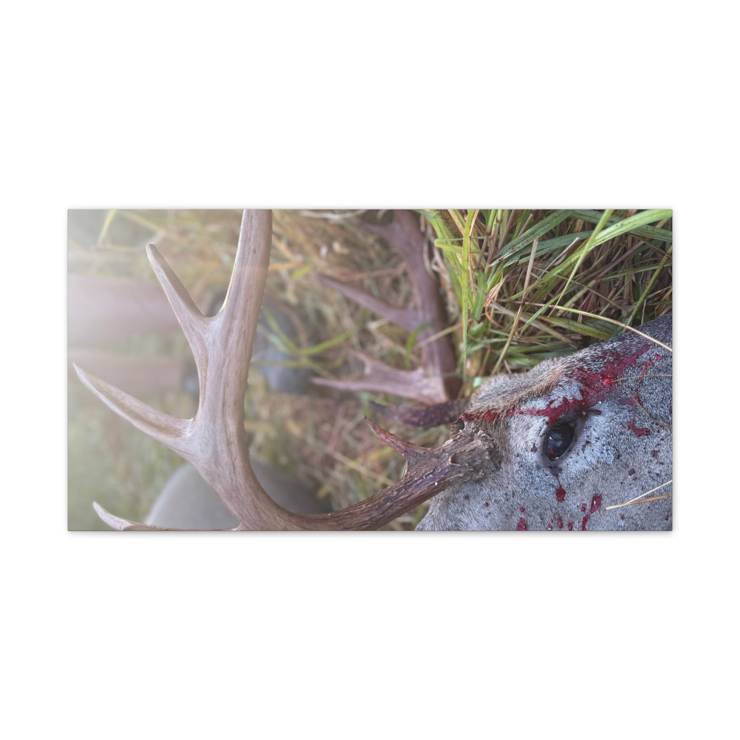 Wisconsin Adrenaline Junkies - Canvas Stretched, 0.75" - Gone