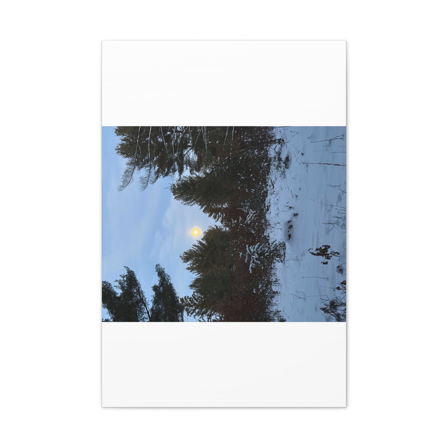 Wisconsin Adrenaline Junkies - Canvas Stretched, 0.75" - Snow