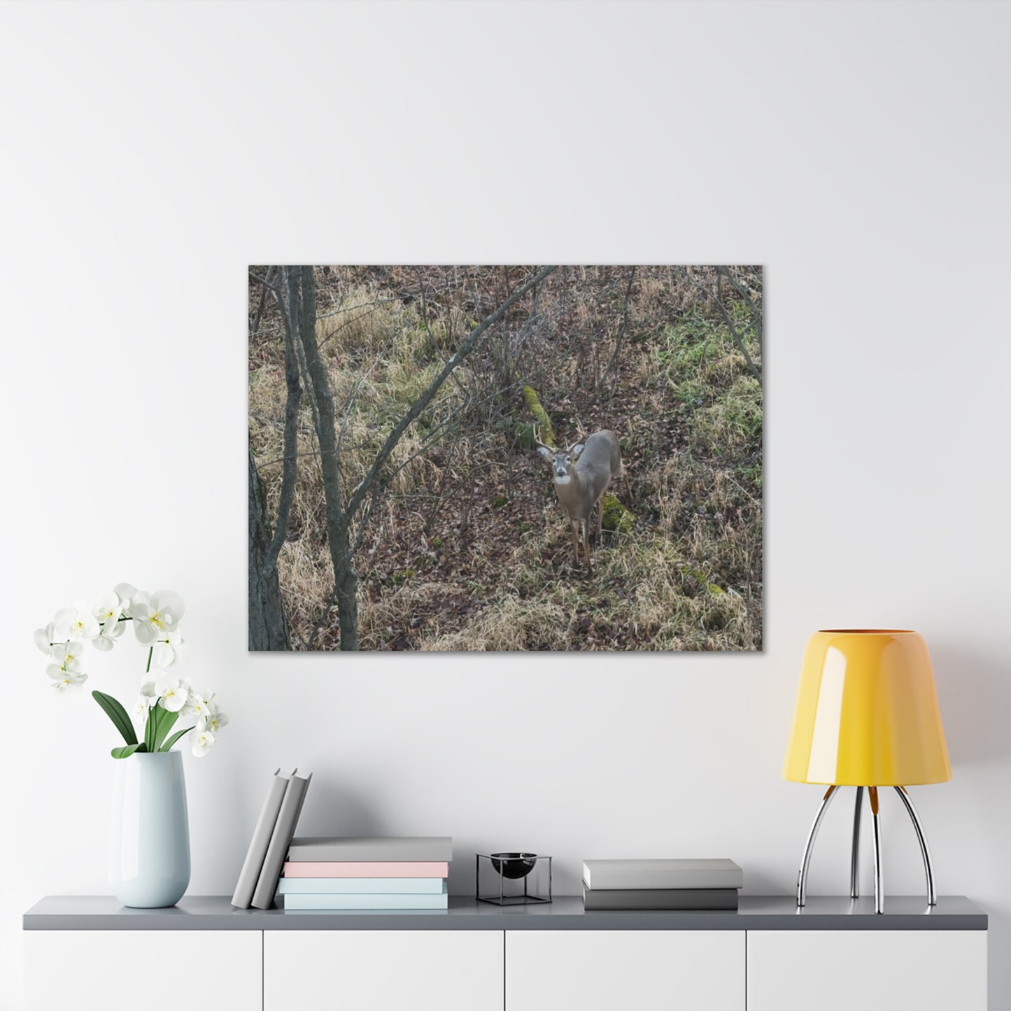 Wisconsin Adrenaline Junkies - Canvas Stretched, 0.75" - Deer