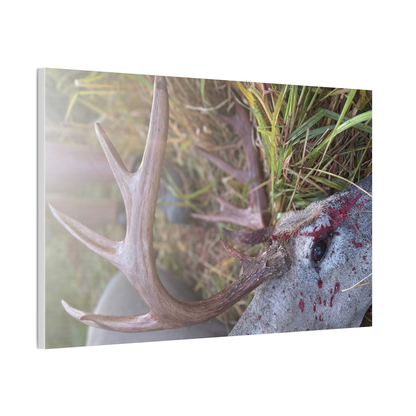 Wisconsin Adrenaline Junkies - Canvas Stretched, 0.75" - Gone