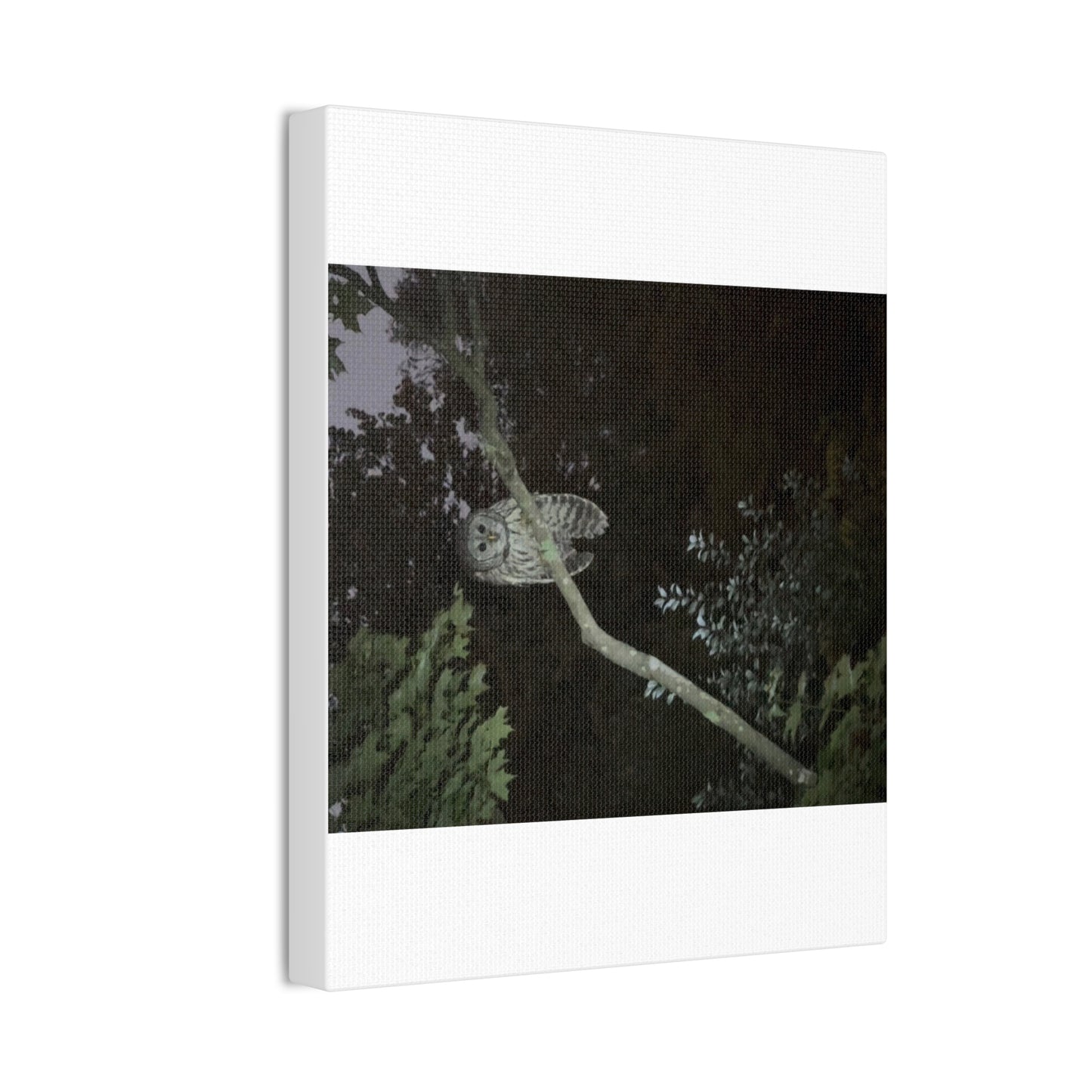 Wisconsin Adrenaline Junkies - Canvas Stretched, 0.75" - Watcher