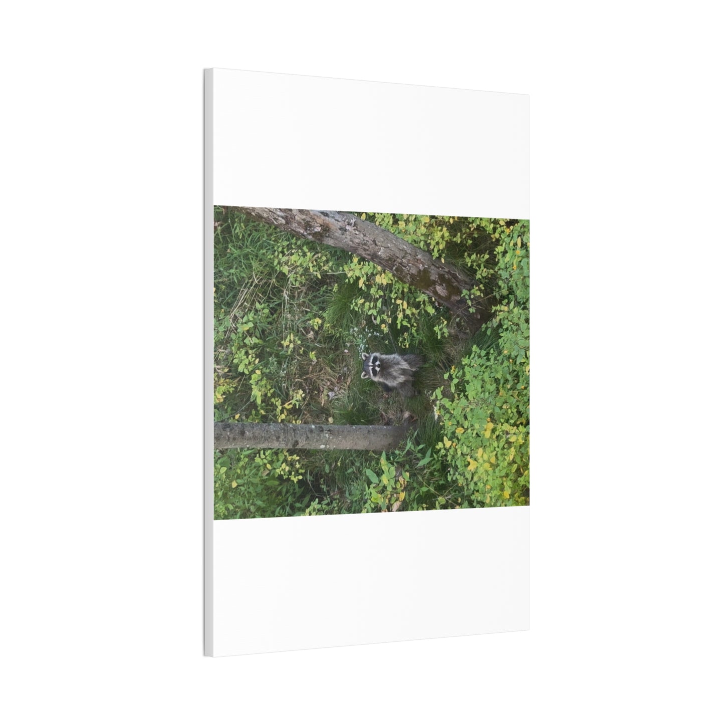 Wisconsin Adrenaline Junkies - Canvas Stretched, 0.75" - Friend